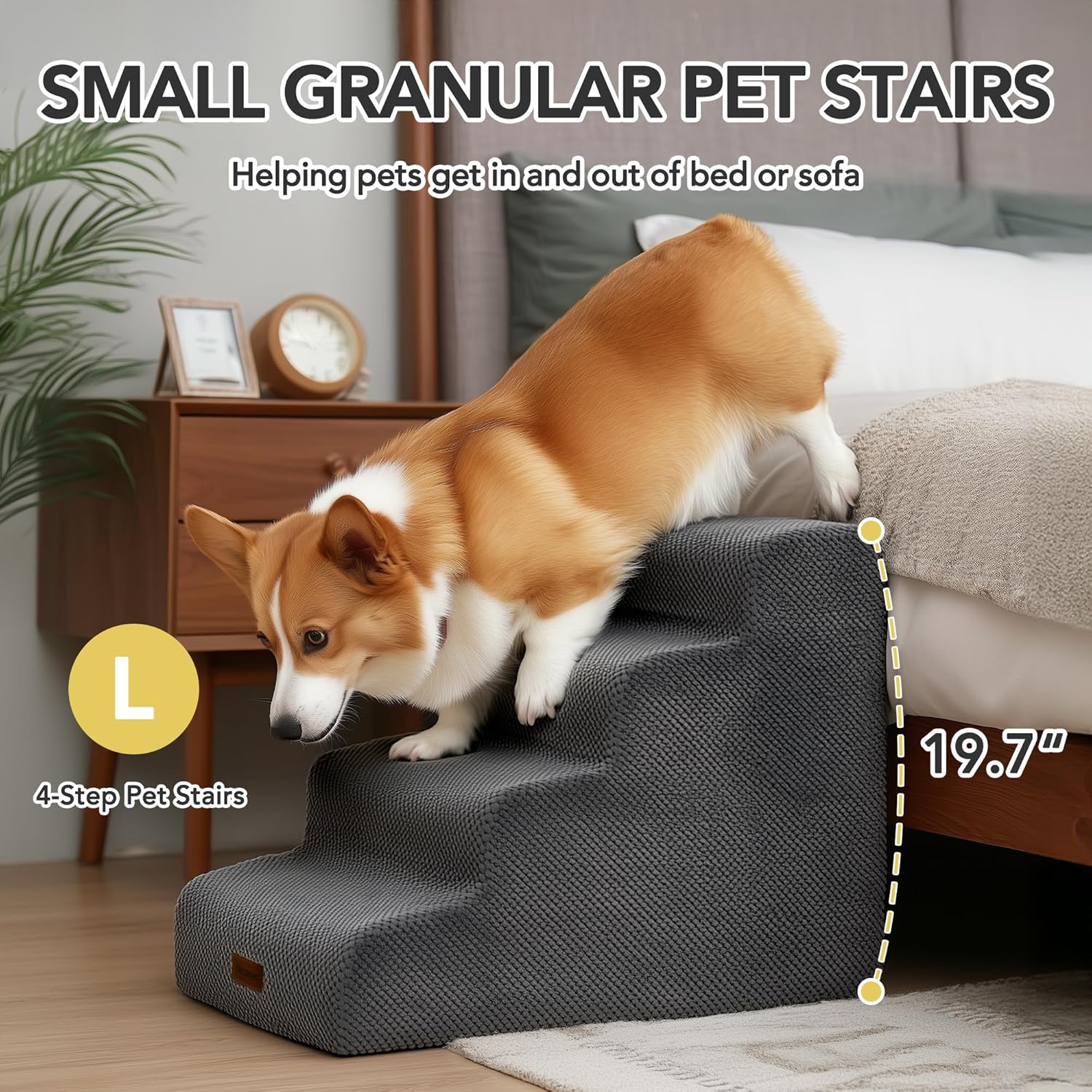 https://m.media-amazon.com/images/I/81ASRvoHoDL._AC_SL1500_.jpg