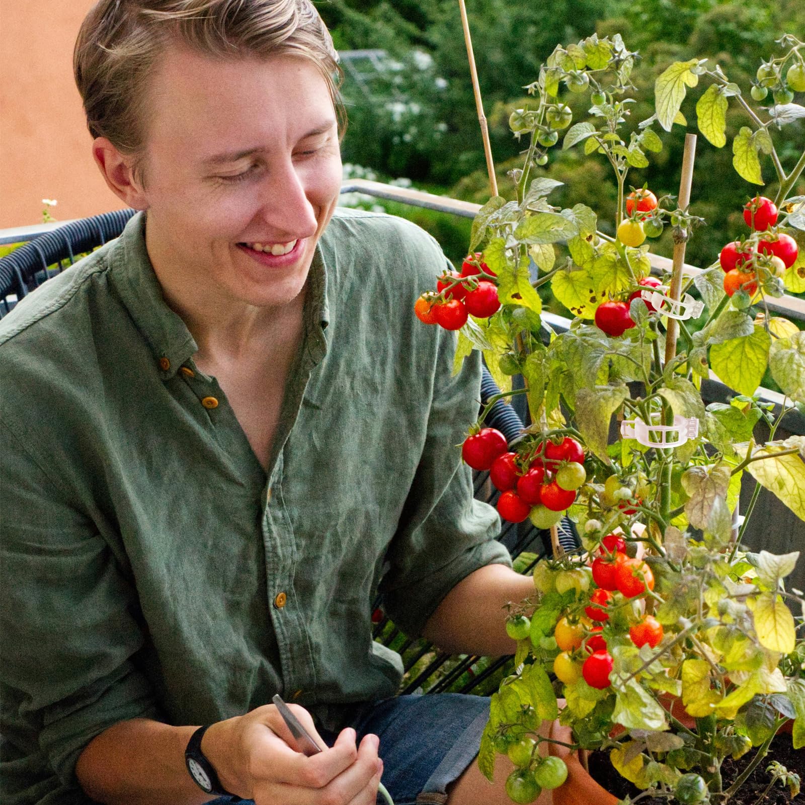Tomatenklammern für Kletterpflanzen, 100 Stück, Pflanzenstützclips & Gartenclips für Gemüse, Rebe, transparent, wiederverwendbar, Kunststoff, Pflanzenclips für drinnen und draußen,
