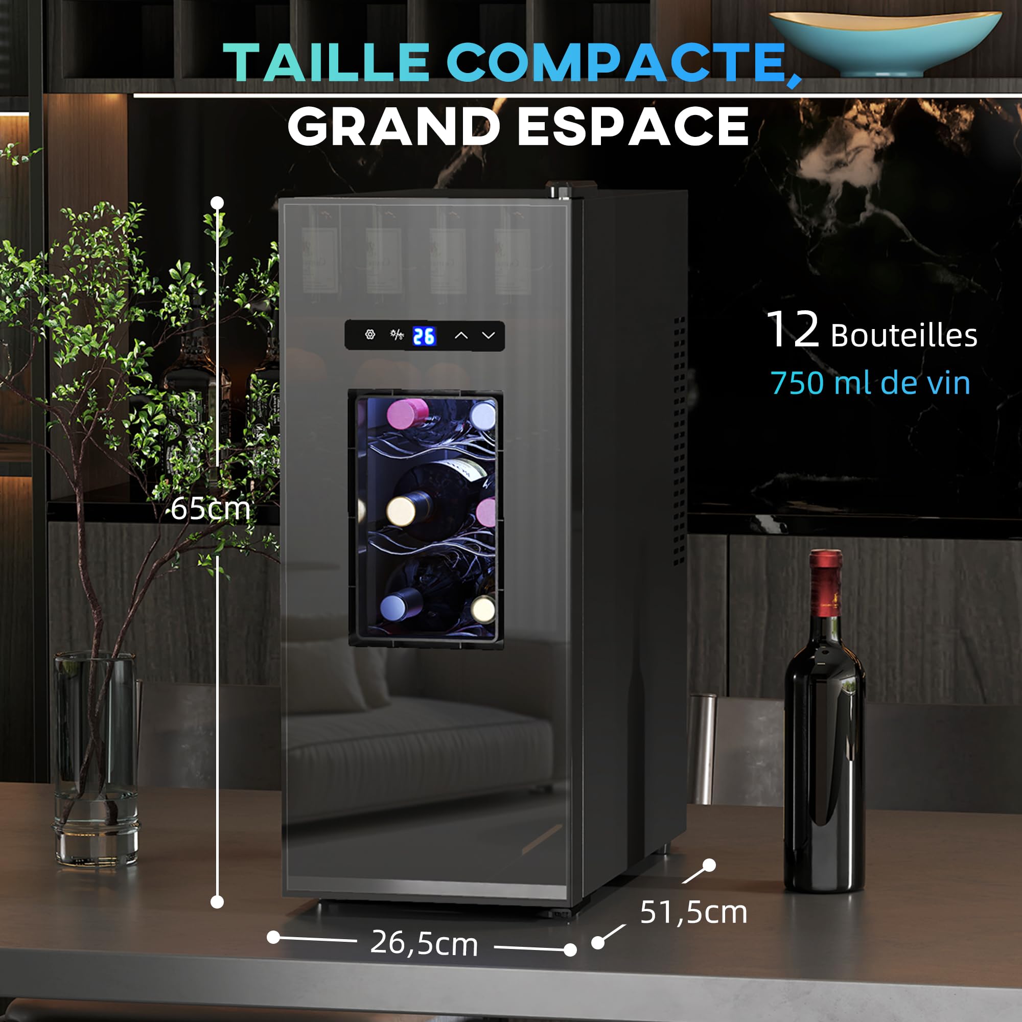 HOMCOM Cave à vin 12 bouteilles 30L réfrigérateur thermoélectrique silencieux porte en verre éclairage LED écran tactile numérique contrôle température 8-18°C noir