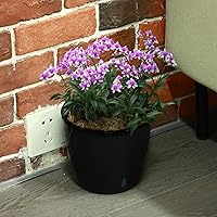 Vista 8 de Planterhoma Macetas de riego automático de 5 pulgadas para plantas de interior, 6 paquetes de macetas de violeta africana con indicador, maceta