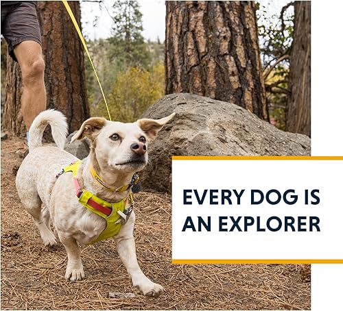 Miniatura 9 de Ruffwear, Hi & Light - Correa para perro, correa ultraligera mínima para paseos y carreras diarios, 4.5 pies, rosa salmón