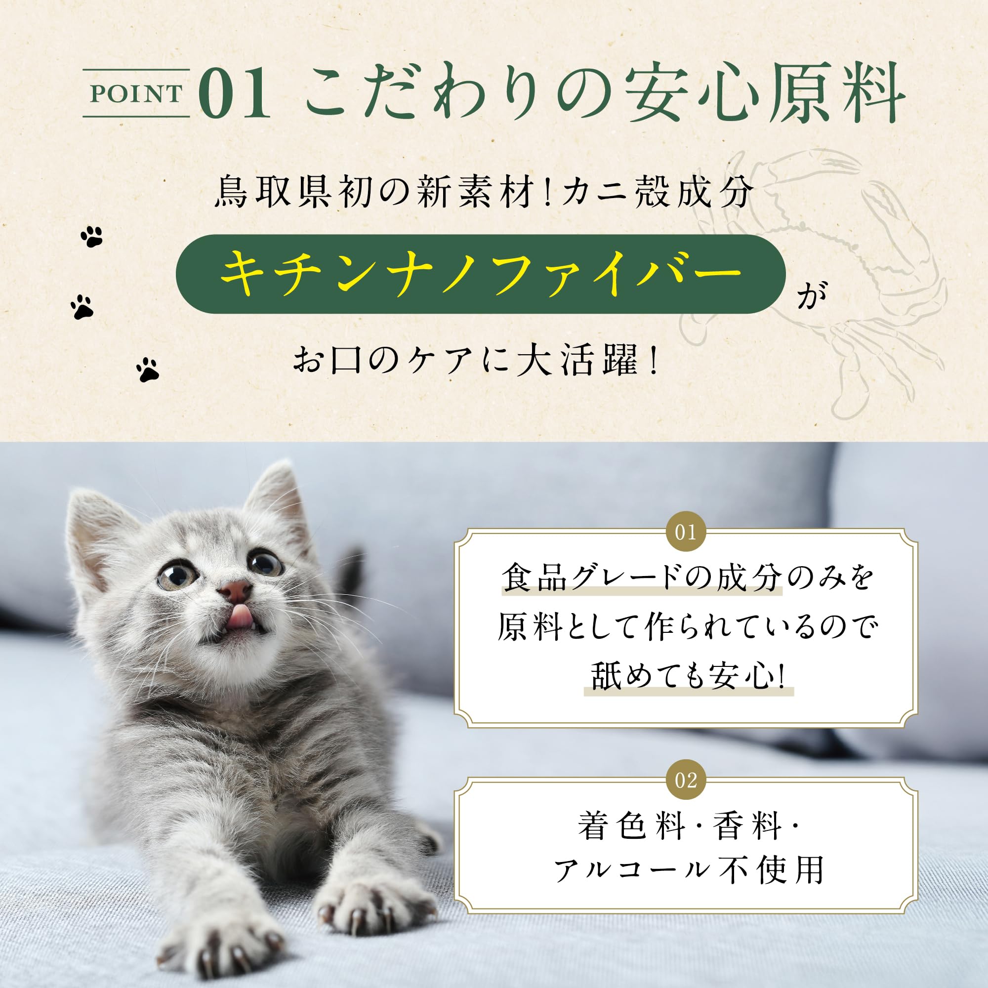 Amazon.co.jp: η（イータ）［獣医師が使う］猫 はみがき 犬 歯磨き