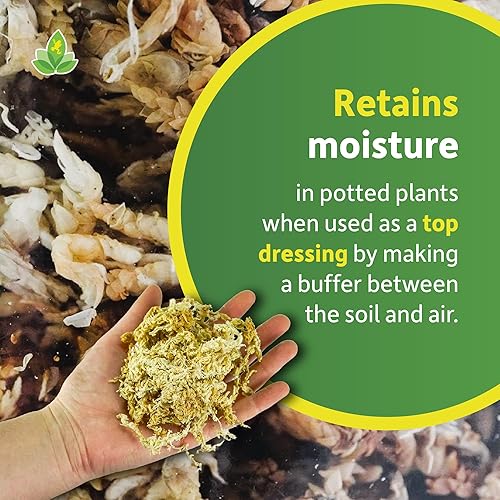 Miniatura 3 de Josh's Frogs Sprig & Stone Sphagnum Moss (1 cuarto de galón)