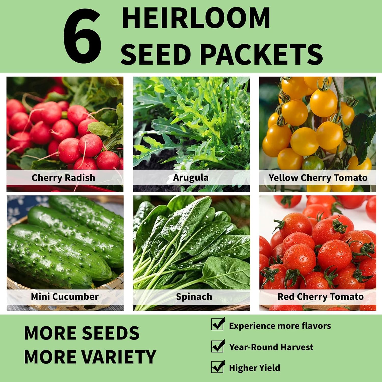 Hydroponic Seed Pod for Aerogarden, Ahopegarden, LETPOT, URUQ - 12 Salad Refill Grow Pods with 6 Packets Seeds of Mini Cucumber, Arugula, Spinach, Cherry Radish & Tomato for All Hydroponic Systems