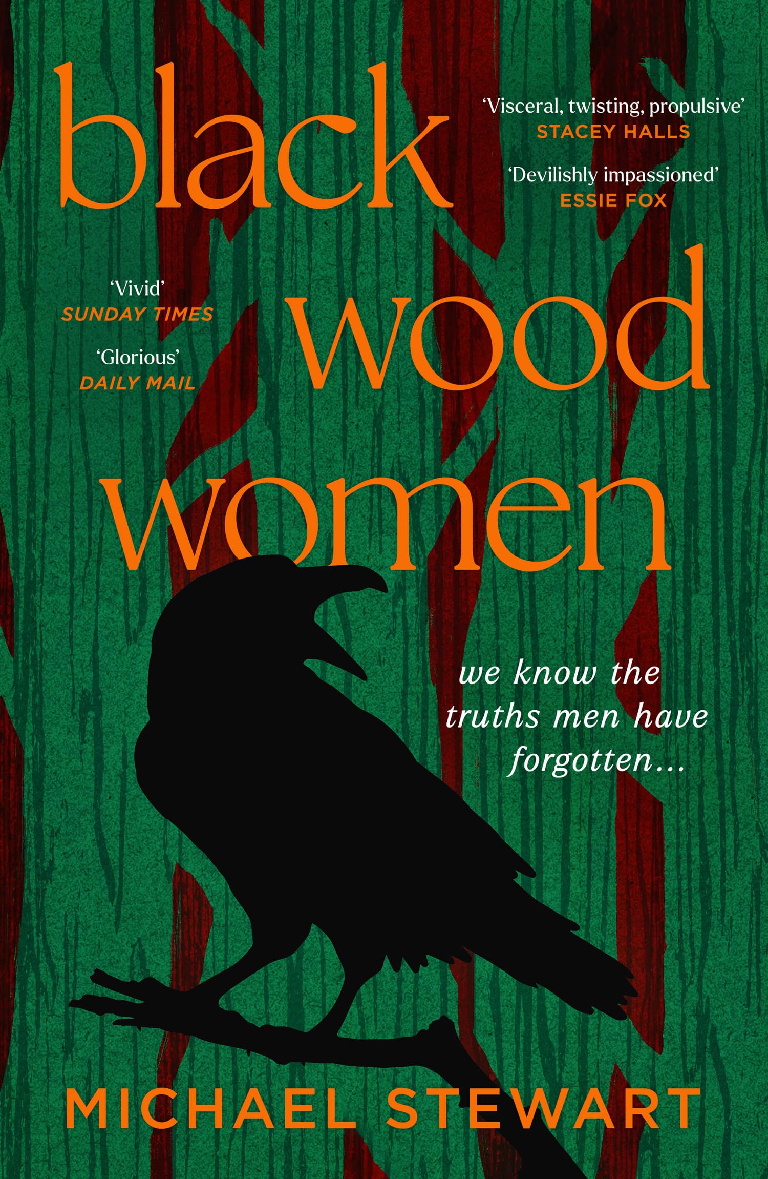 Black Wood Women: A spellbinding, gripping, unputdownable... - Stewart, Michael