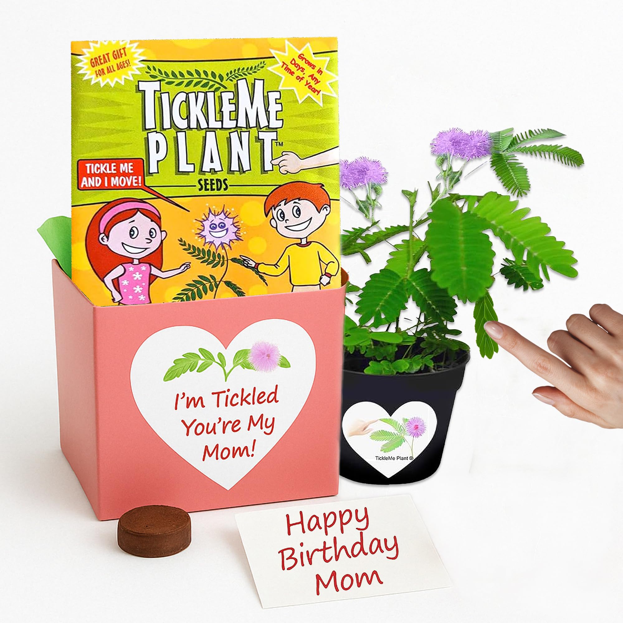 Birthday Gift for Mom – TickleMe Plant Grow Kit