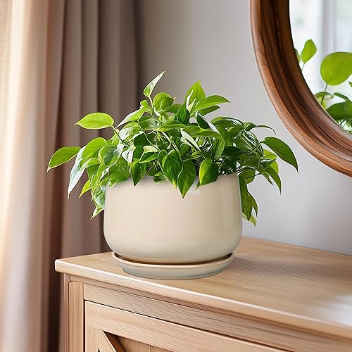 Miniatura 7 de G EPGardening Maceta de cerámica para plantas, maceta de 6 pulgadas con drenaje y platillo de cerámica, macetas para plantas de interior, maceta