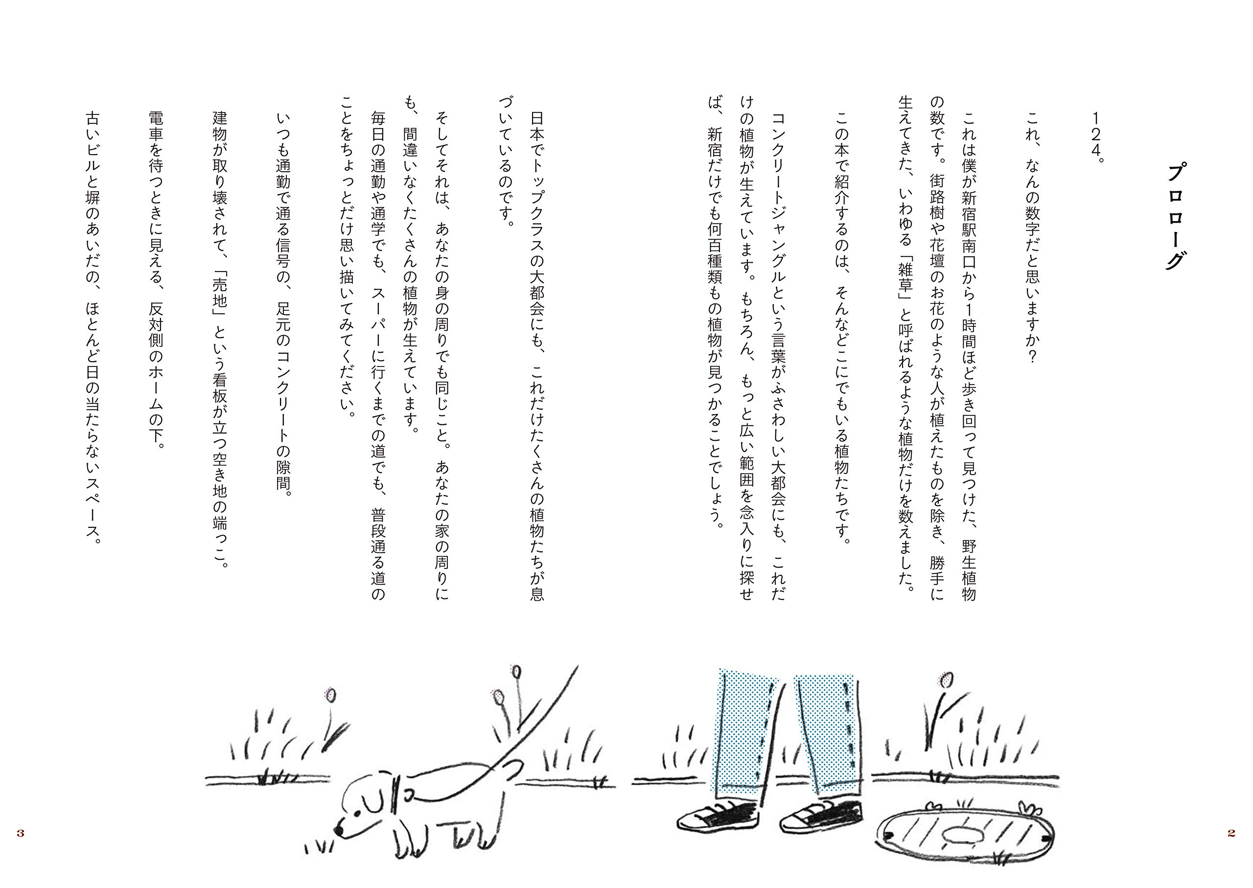 やけに植物に詳しい僕の街のスキマ植物図鑑 瀬尾 一樹 本 通販 Amazon