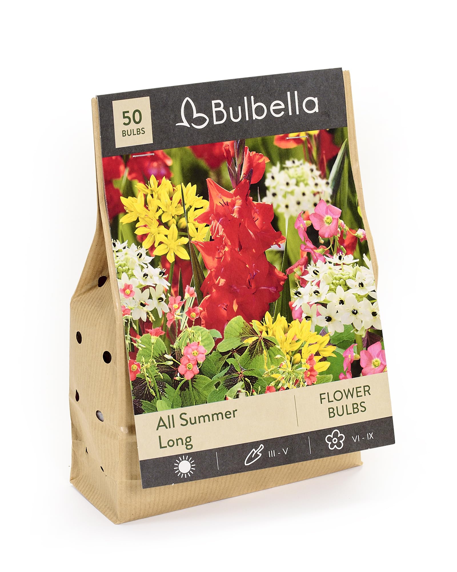 Bulbella Ranunculus Mixed Flower Bulbs – 12 Pack Colorful Persian Buttercup Bulbs for Planting – Spring Blooming Garden Flowers – Ideal for Beds, Borders & Containers — view 8