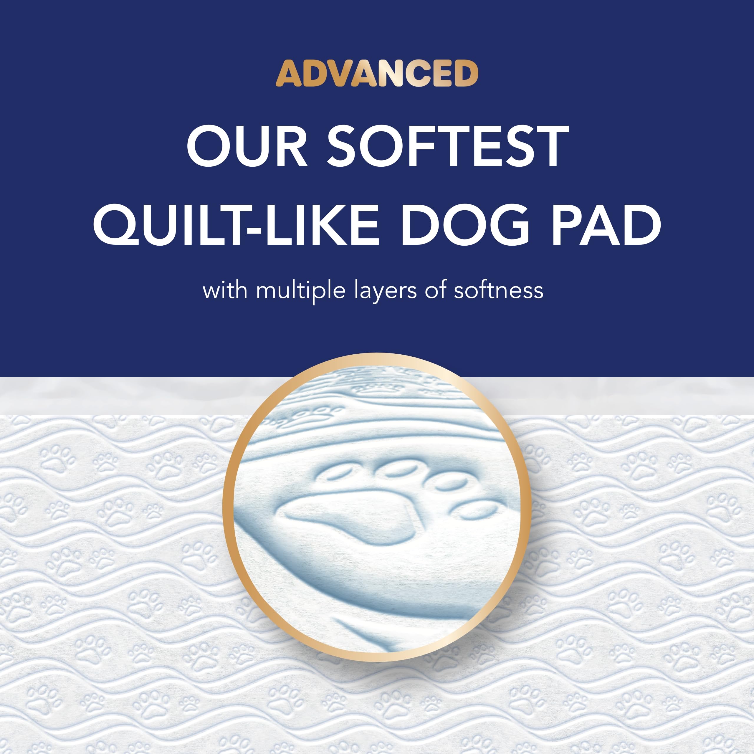 Scott Pet Guard Advanced Hundeunterlagen – Hundetraining Urinierunterlagen für große und extra große Hunde – bis zu 16 Stunden Saugfähigkeit mit Geruchskontrolle – weichste gesteppte