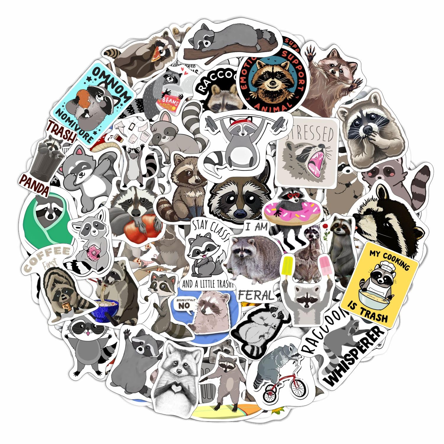 Shoe Rack Raccoon Sticker Amazon.com: Raccoon Stickers, Cute Racoon Stickers for Water Bottles ...