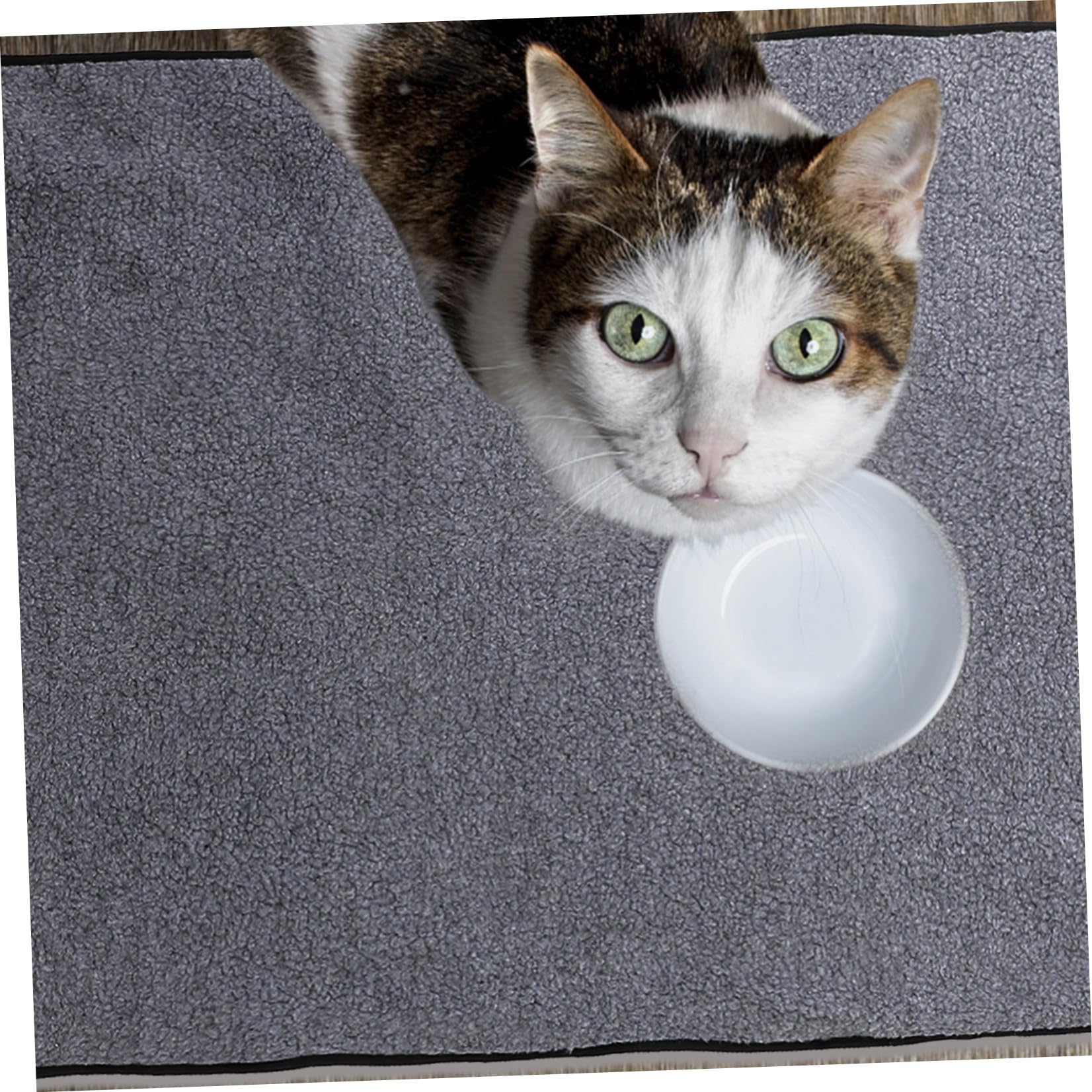 Abaodam Manta Plegable para Mascotas Manta De Viaje para Exteriores para Perros y Gatos Negra