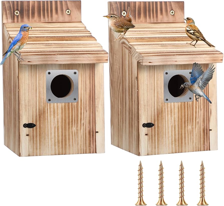 Amazon.com : Dreyoo 2 Pack Cedar Bluebird Box Houses for Outside