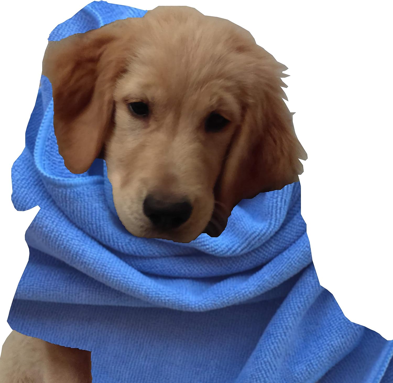 Microfiber Pros Dog Towels – Pack of 2 in Large 20" x 40" Size – Hypoallergenic and Chemical Free – Ultra-Absorbent for Bathing,…