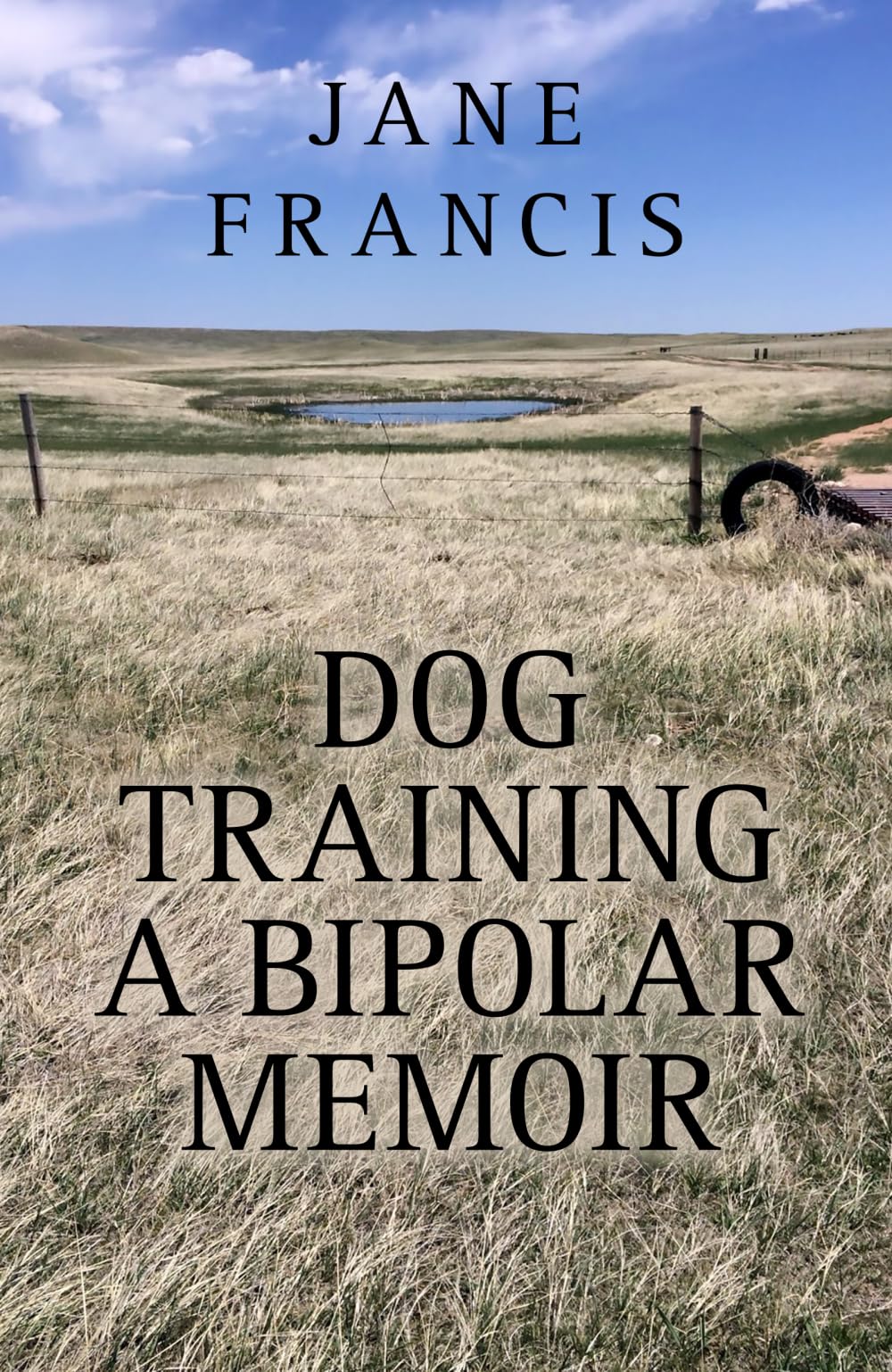 Dog Training: A Bipolar Memoir