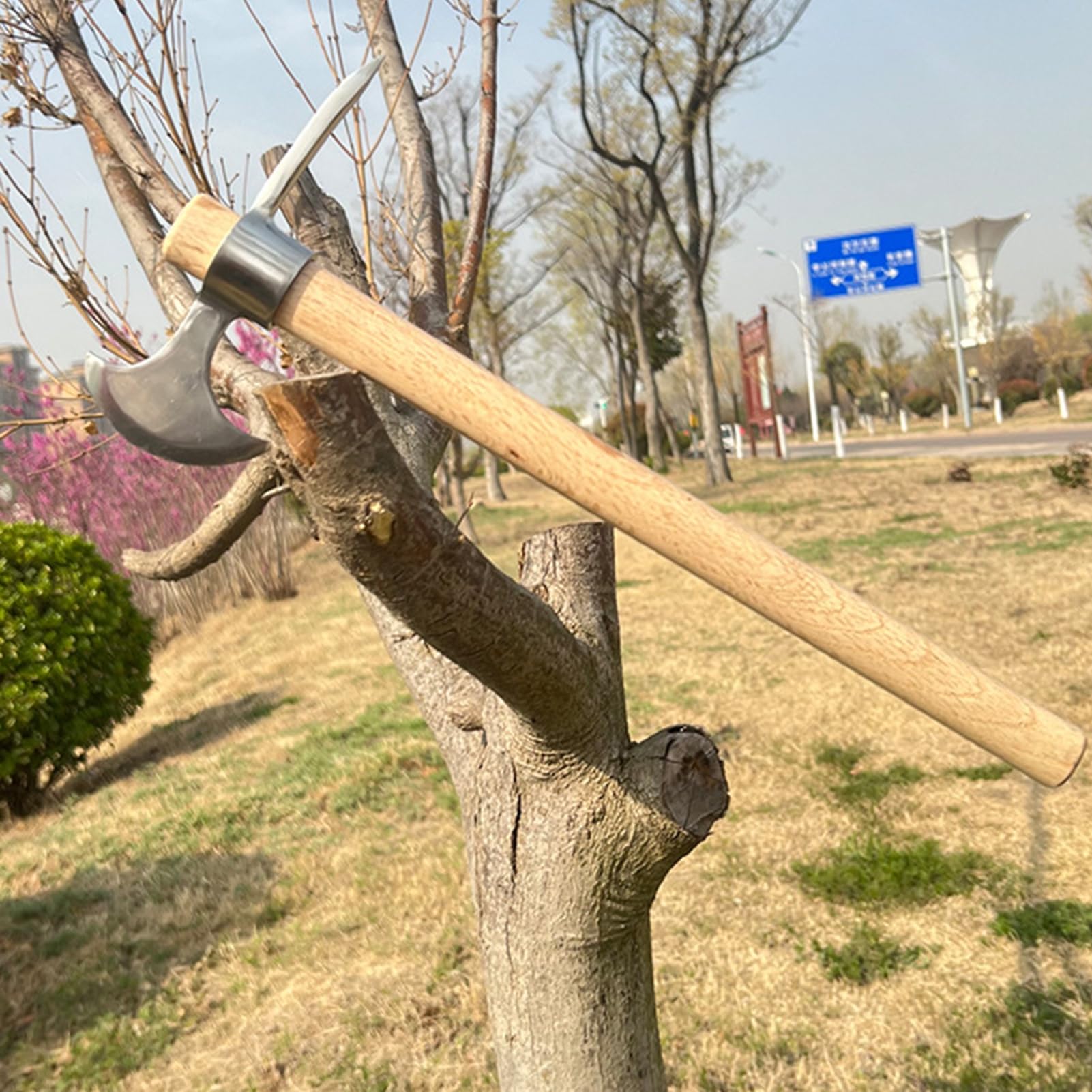 Pioche à double tête en acier inoxydable avec poignée en bois pour creuser, désherber, planter C