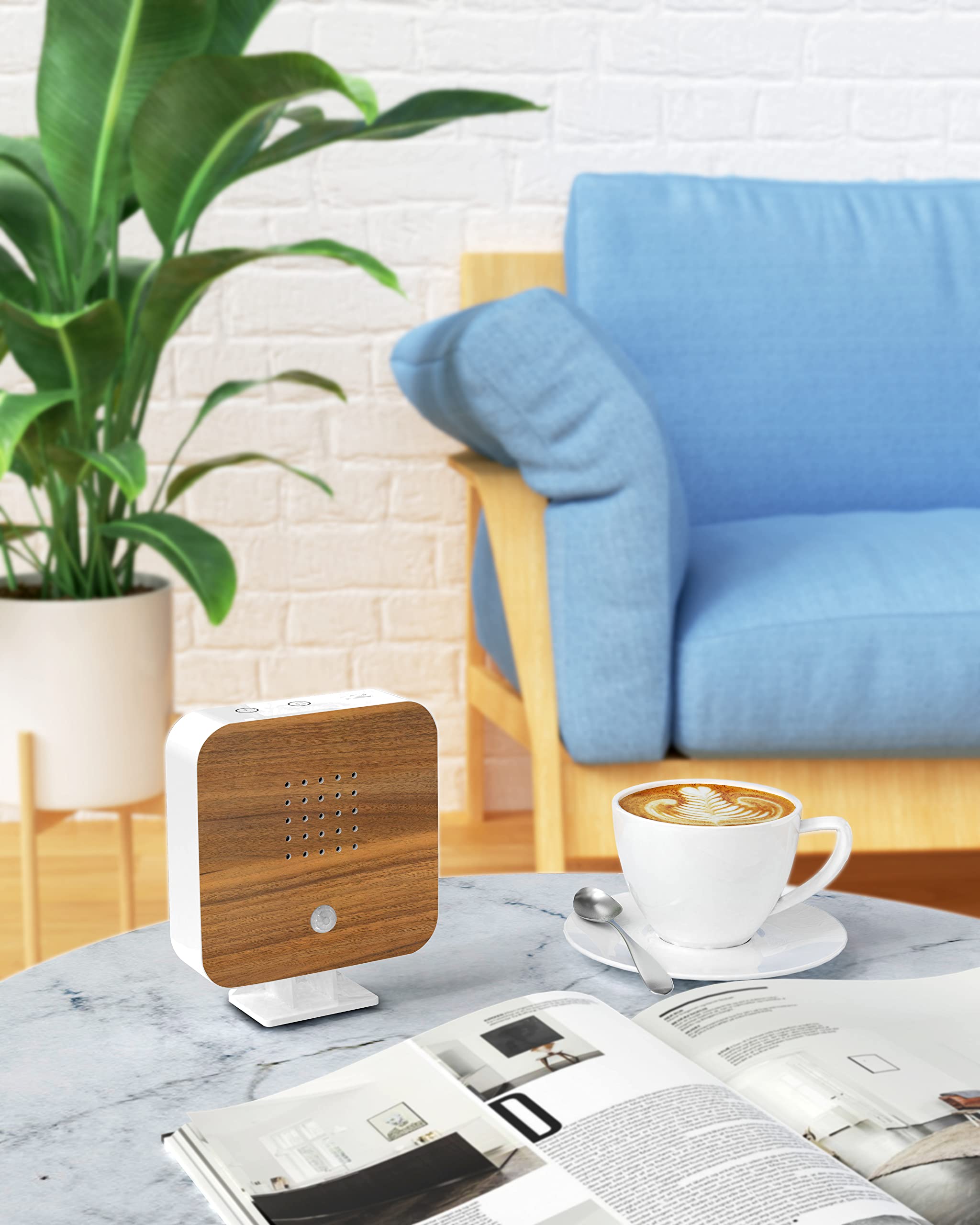Northpoint Naturaleza Soundbox - Caja de sonido para pájaros, detector de movimiento, luz recargable con soporte de pared, haya cuadrada