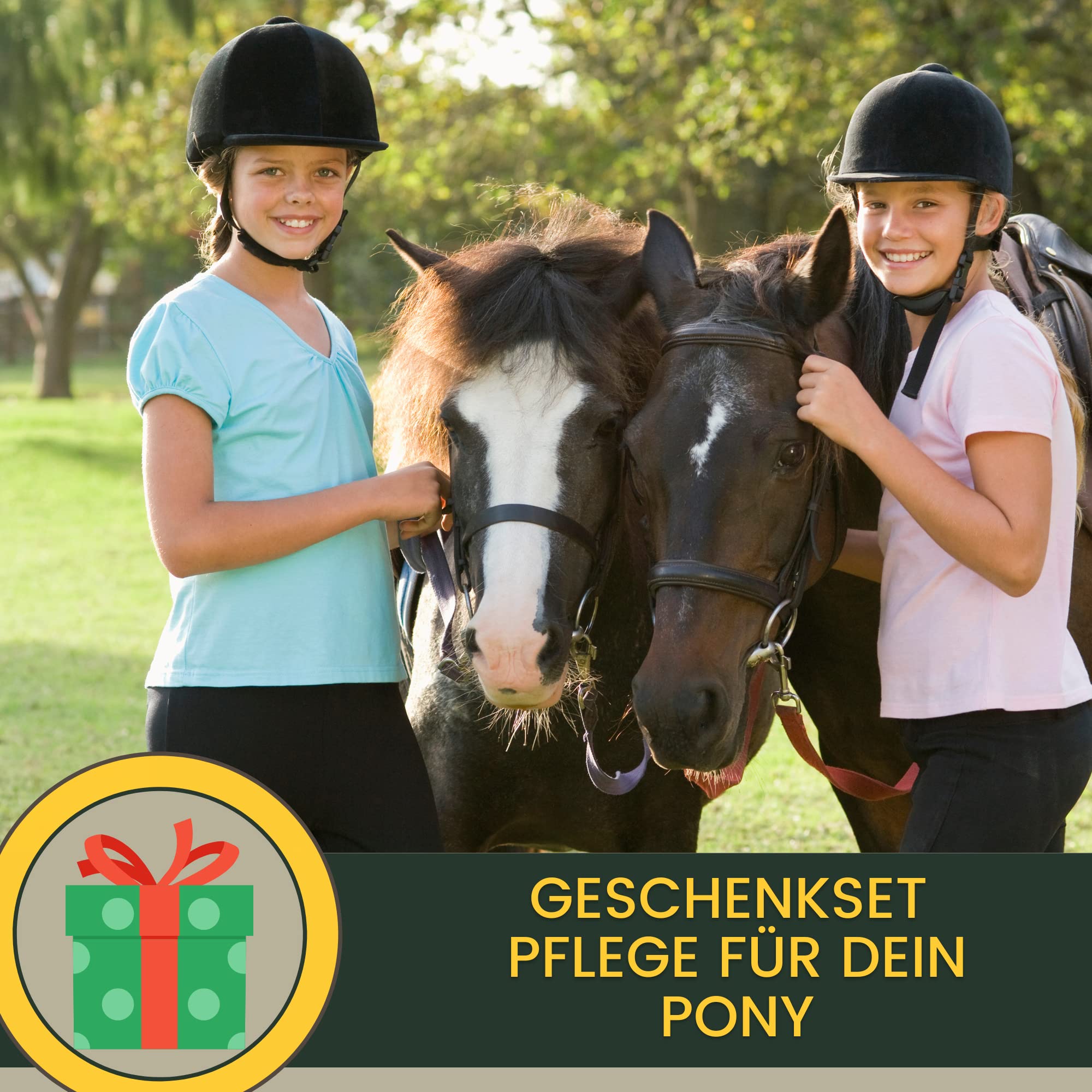 Spray Pour Crinière De Cheval I Pailleté I Friandises Pour Chevaux