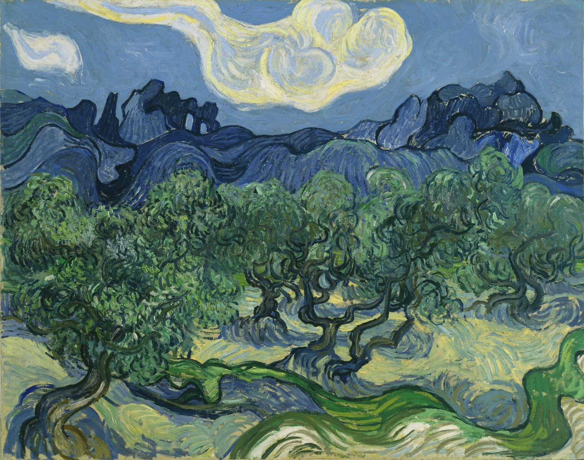 liziciti 5D Diamond Painting Kits Van Gogh for Adults, 30x40cm Diamond Art Kits Full Drill Canvas Art Picture DIY for Wall Decor (Olive Trees)