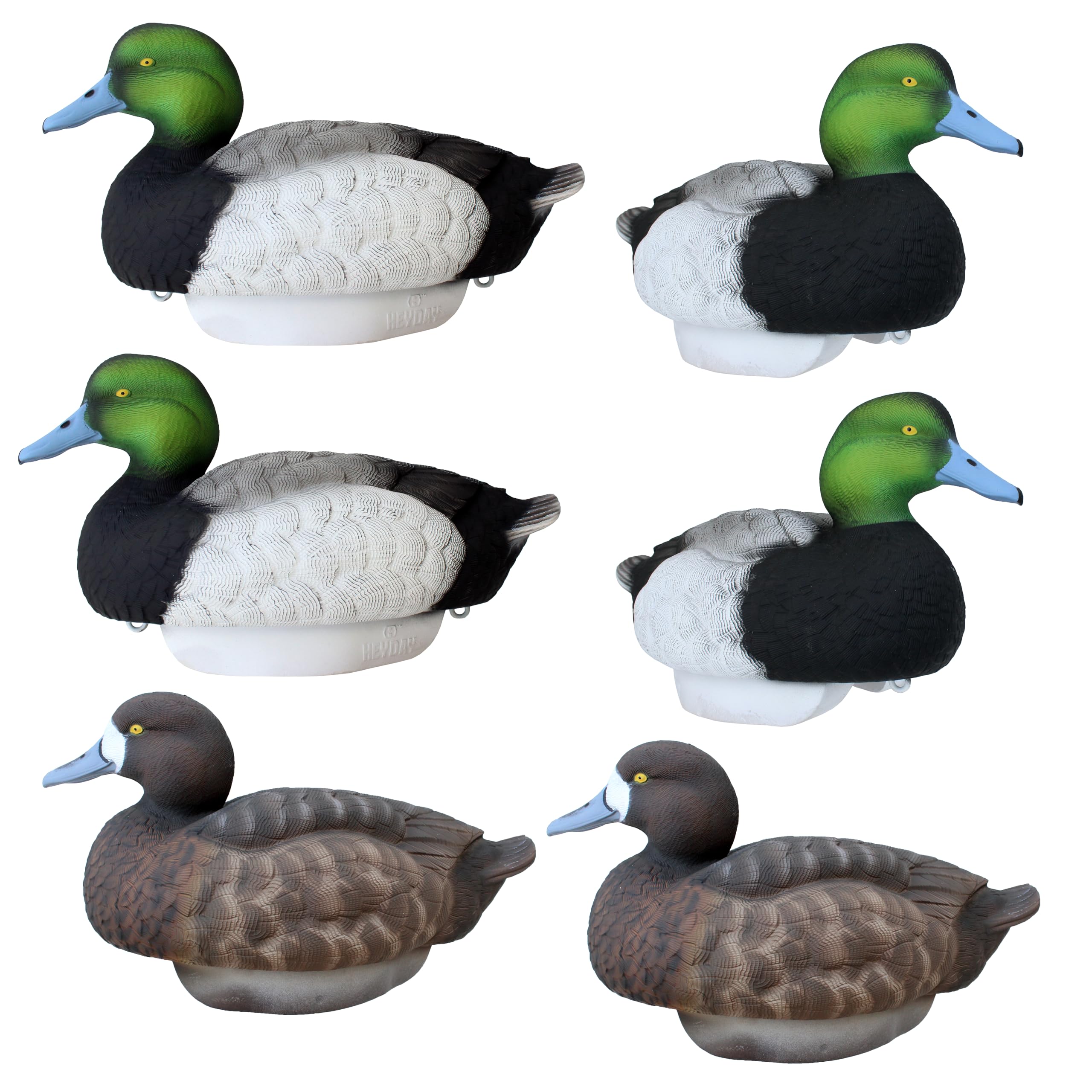 Bluebill Duck Decoys by Heyday – Ultra-Light 100% HydroFoam | Durable, Realistic Design | 6 Pack of Duck Hunting Decoys