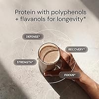 Vista 3 de Blueprint Bryan Johnson Polvo de Proteína de Chocolate – Suplemento Vegano a Base de Plantas con Polvo de Cacao – Ingredientes Limpios – 26g