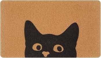 81ATXoLC40L._AC_UF350, 81ATXoLC40L._AC_UF350,