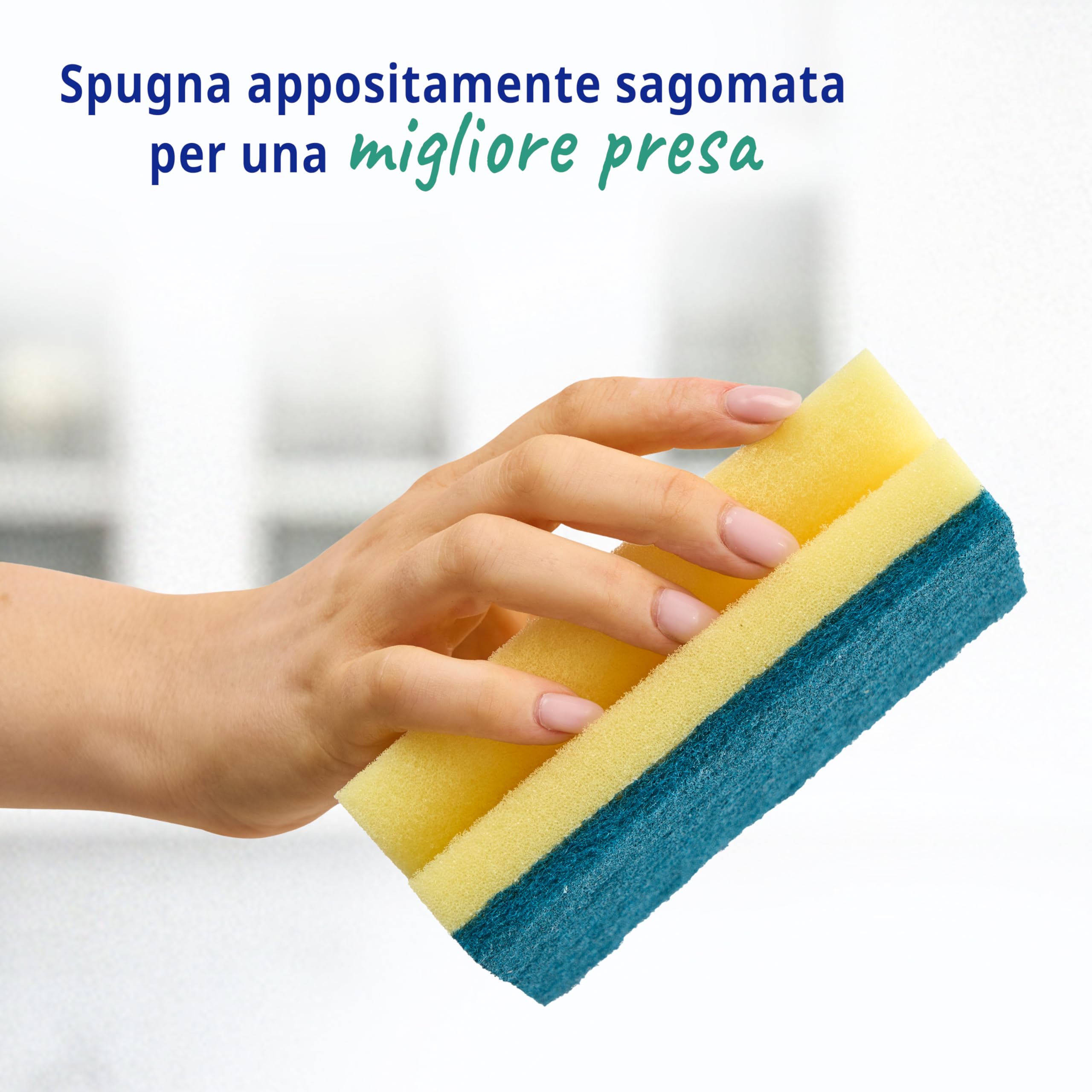 Spontex Specialist Spugna abrasiva XL Confezione da 6