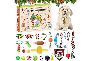 2023 Dog Advent Calendar: 24-Treasures of Doggy Delights