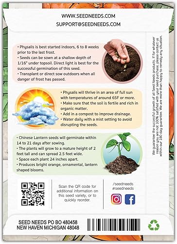 Miniatura 2 de Seed Needs Semillas de linterna china para plantar (Physalis Alkekengi) reliquia y cerezas de cáscara ornamental de naranja polinizada abierta,
