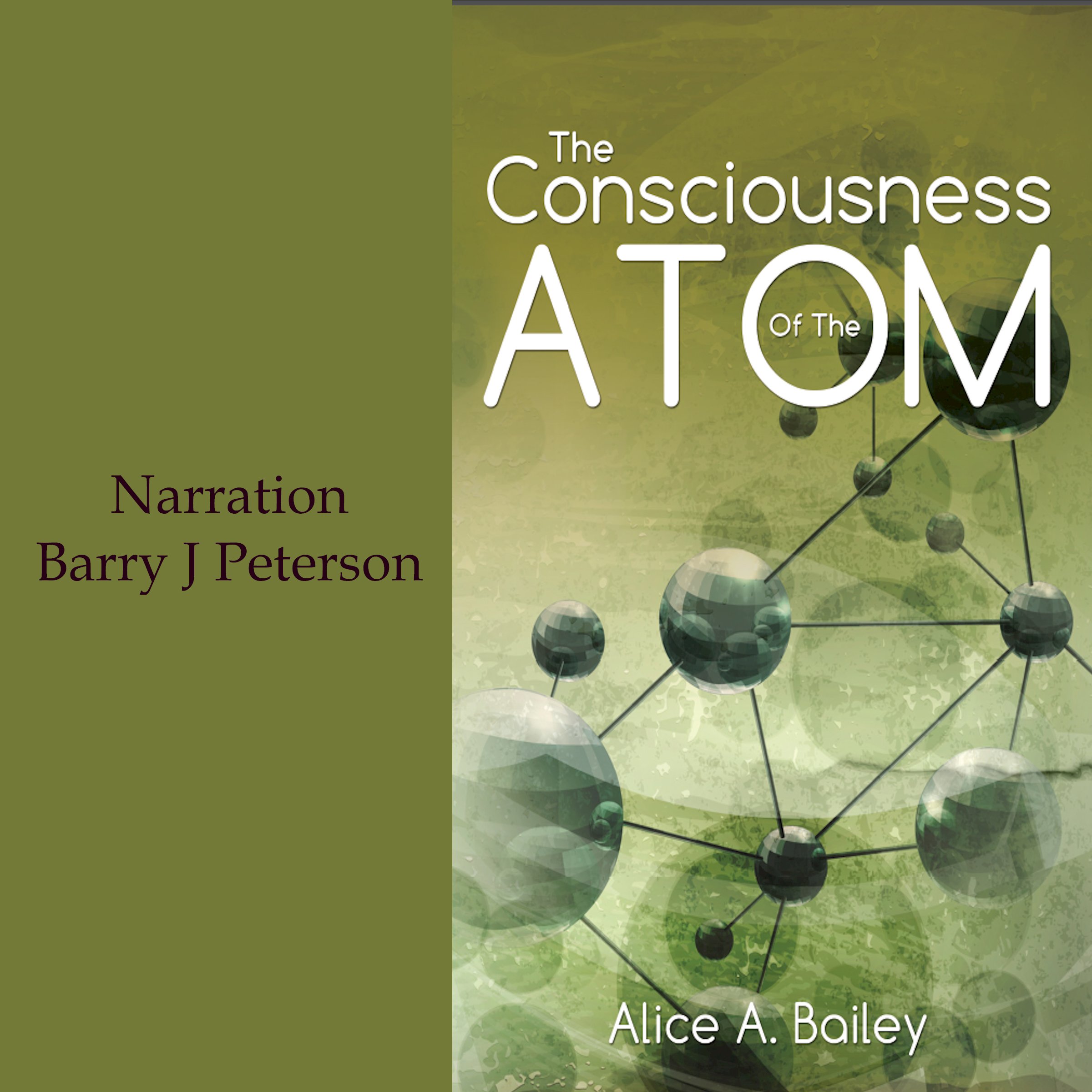 The Consciousness of the Atom