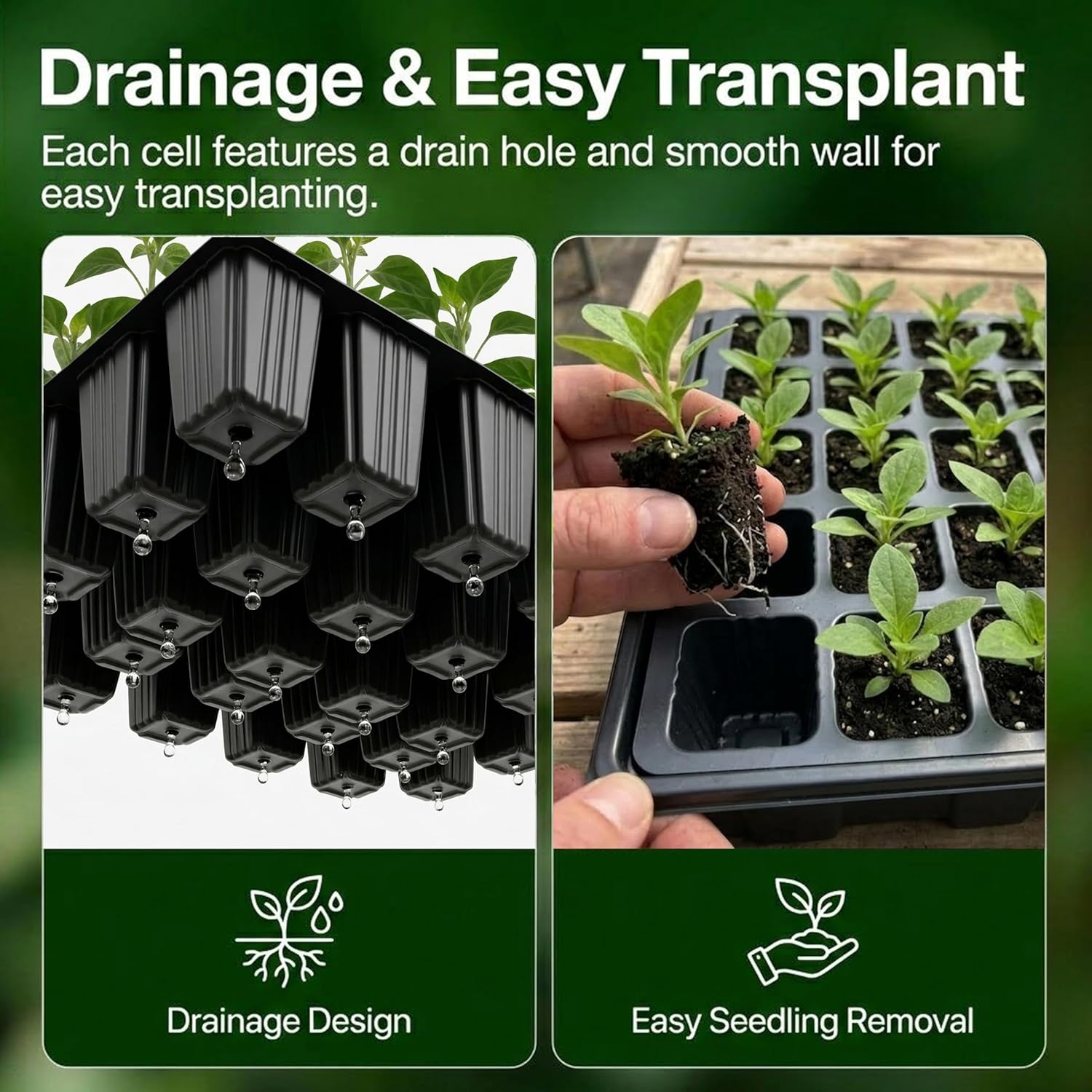 Gardzen 5-Set Seed Starter Tray Kits, Durable Plant Germination Trays with Humidity Vented Domes and Bases, Ideal for Seed Starting, Indoor Gardening, and Greenhouse (Total 200 Cells) thumbnail