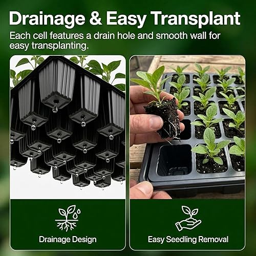 Miniatura 5 de Gardzen Juego de 10 propagadores de jardín, kits de bandejas de semillas con 400 celdas, bandeja de inicio de semillas con cúpula y base de 15 x 9