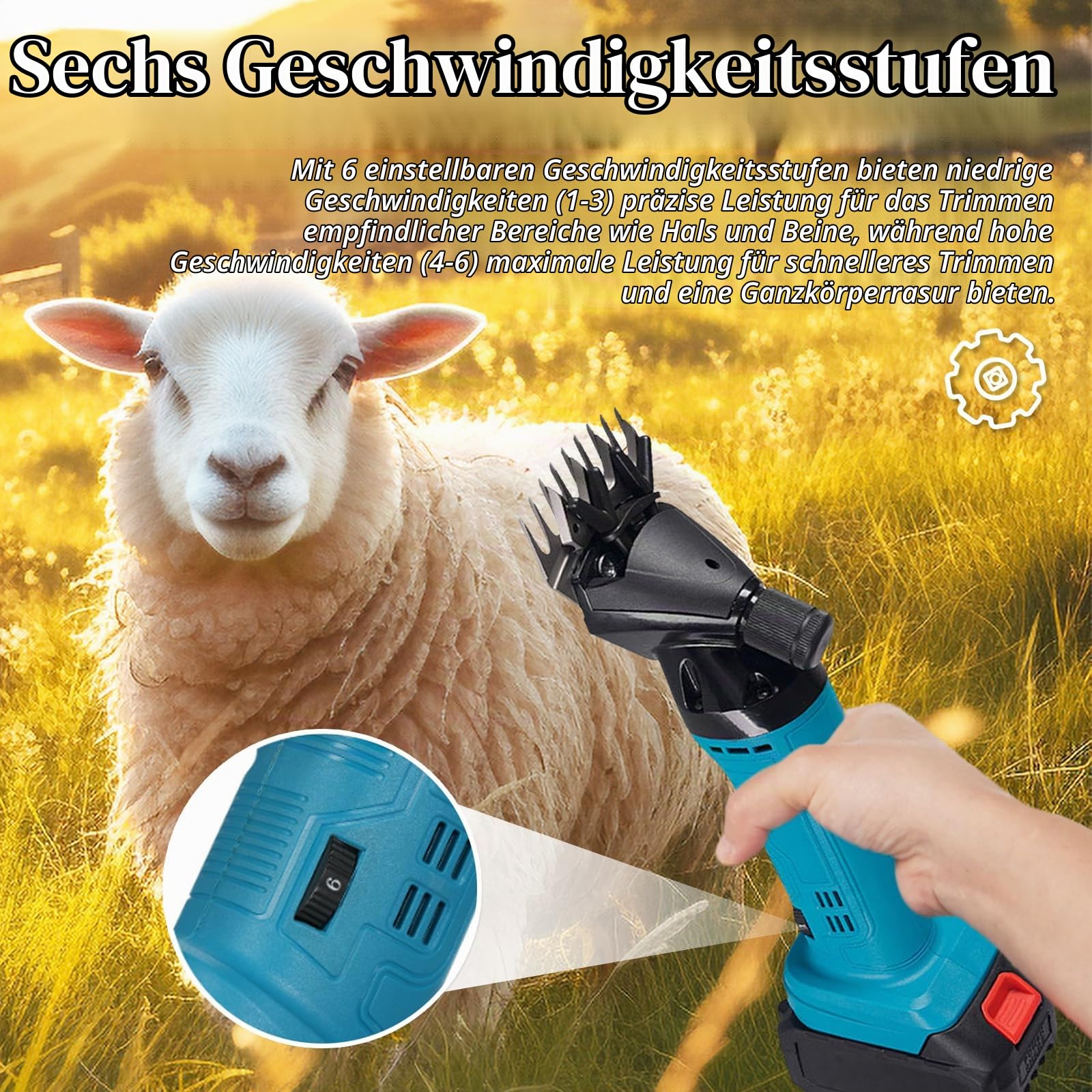 Schafschermaschine, 3000Mah Schermaschine Pferd 2400r/min Kabellos Schafschermaschine Akku tragbar 6-Gang Schäfer Schermaschine mit 2 Akkus für Schafen Ziegen Alpakas Ochse (13 gerade Zähne)