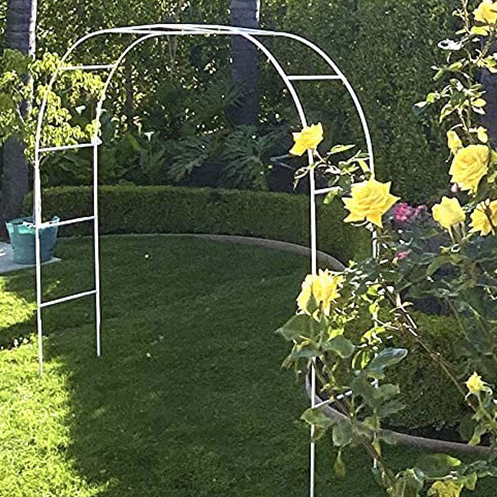 Arche de jardin pour plantes grimpantes en métal résistant