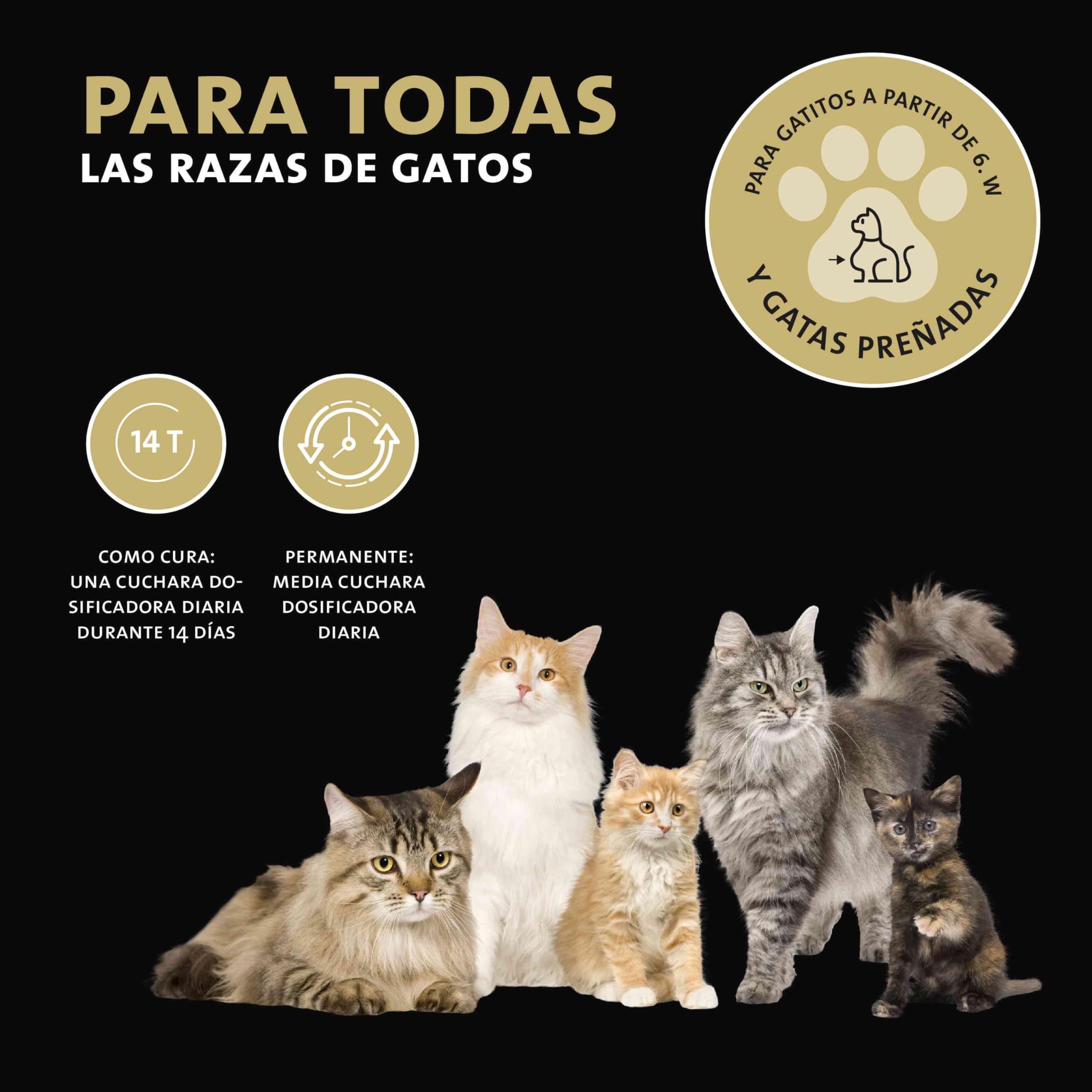 Peticare Desparasitante Antiparasitario para Gatos | Polvo de Hierbas | Remedio 100% Natural con Curcuma y Tomillo contra Gusanos Intestinales, Anquilostomas, Higiene Intestinal | petCat Health 3605