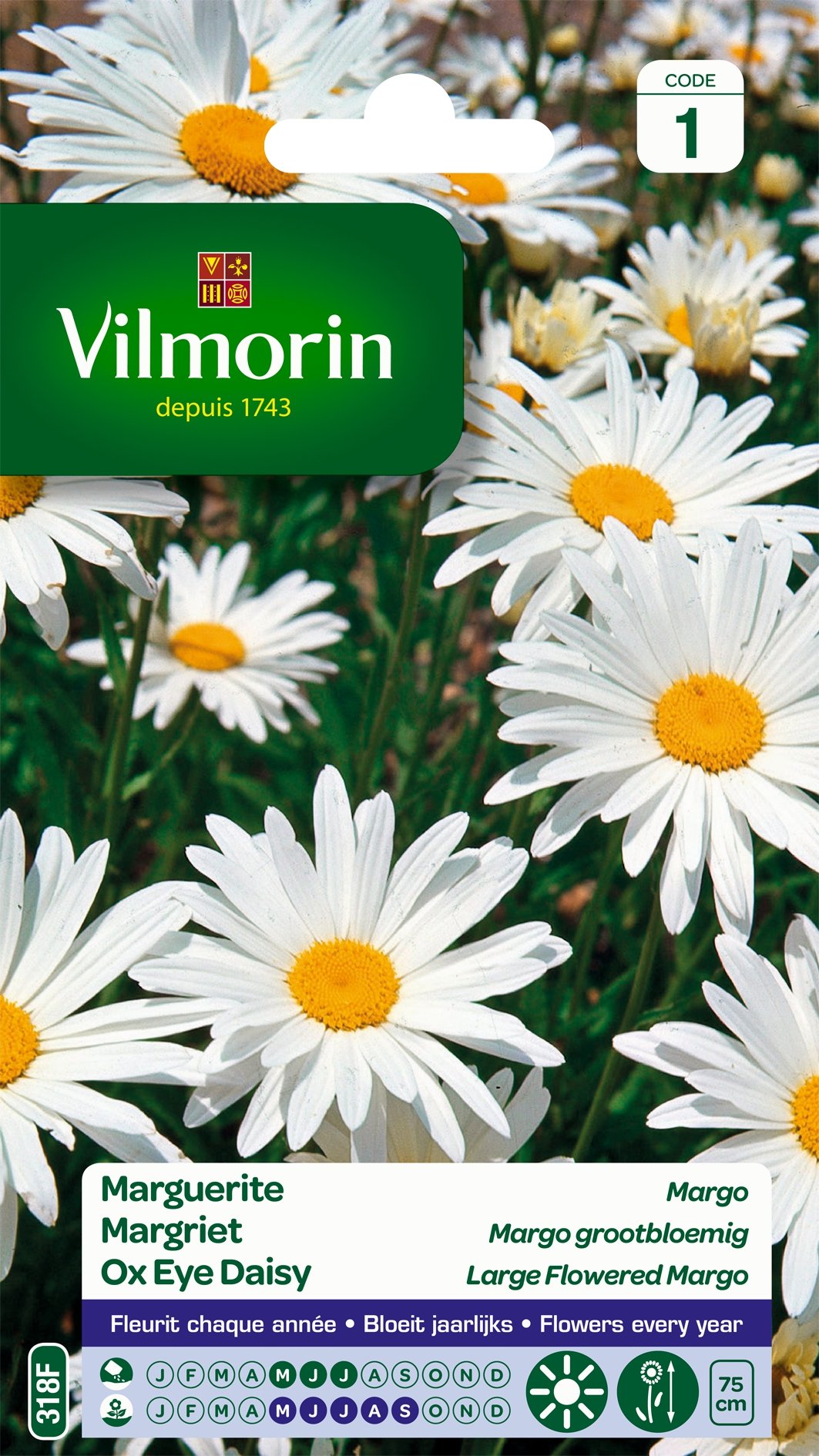 Vilmorin 5217241 Chryzantema Wielka Stokrotka, biała, 90 x 2 x 160 cm