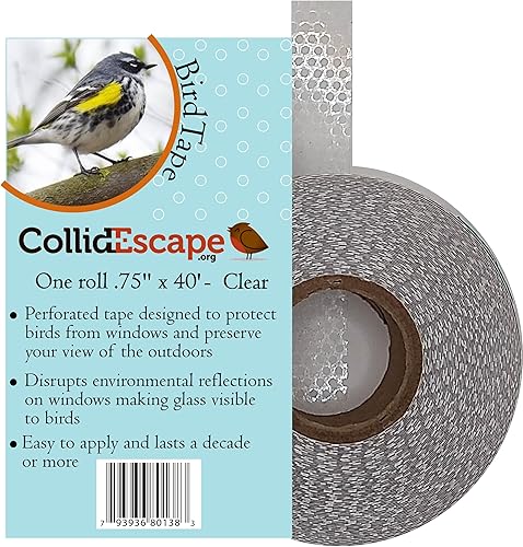 COLLIDESCAPE Spiderweb - Cinta adhesiva transparente para ventanas (34 pulgadas x 40 pies - cubre 2 a 3 paneles) Adhesivos de cinta de pájaros para