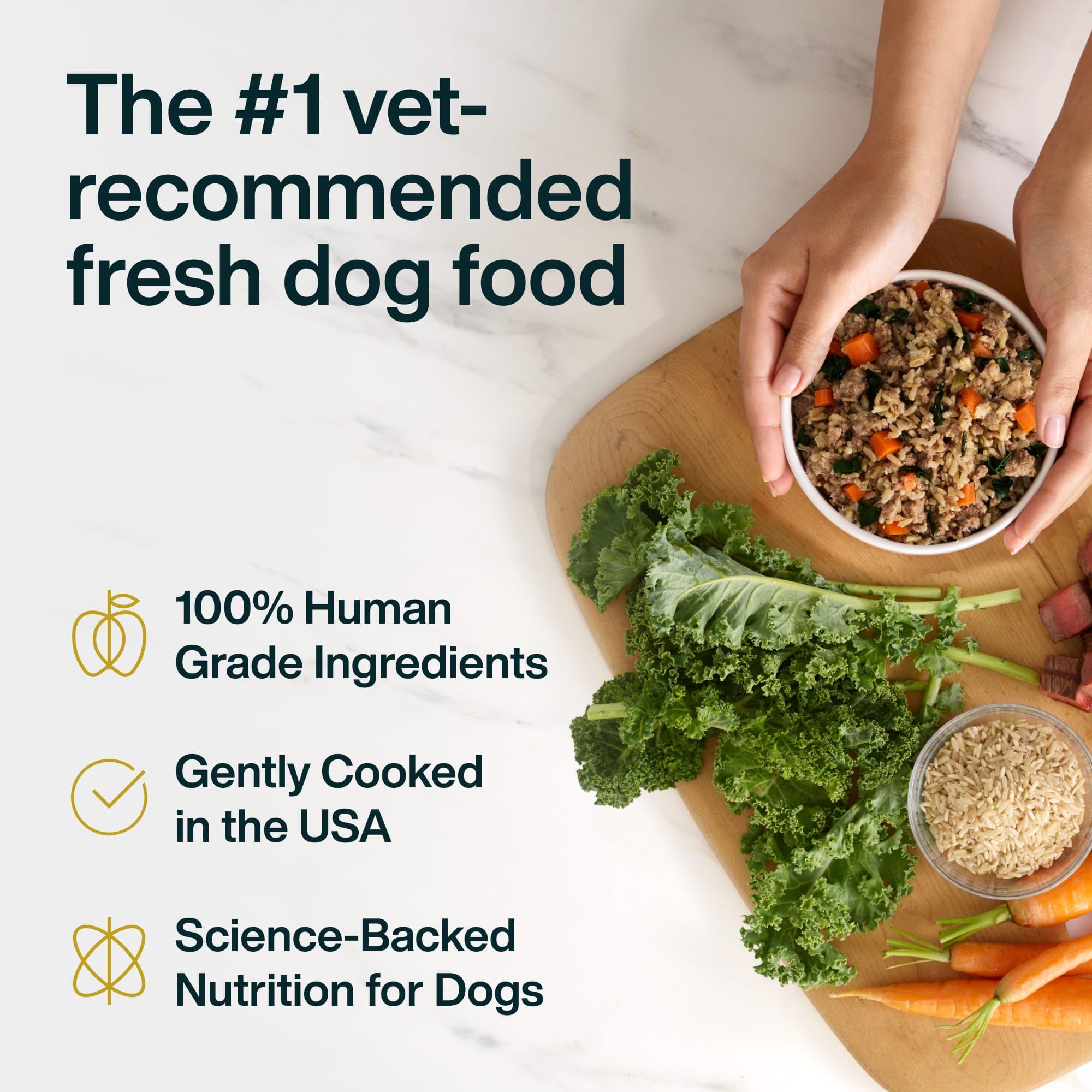 JustFoodForDogs JustFresh - Pienso casero sin conservantes, Embalaje resellable, Comida húmeda para Perros, 340 ml, 7 Unidades