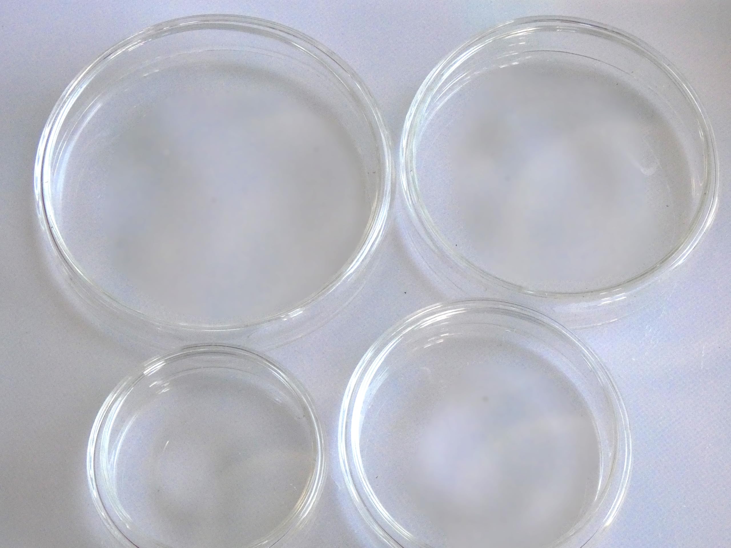 Glass Petri Dish, Tissue Culture Plate, Autoclavable Borosilicate Glass, Biology Microbiology Lab Dishes (Mixed 60/75/90/100 mm)