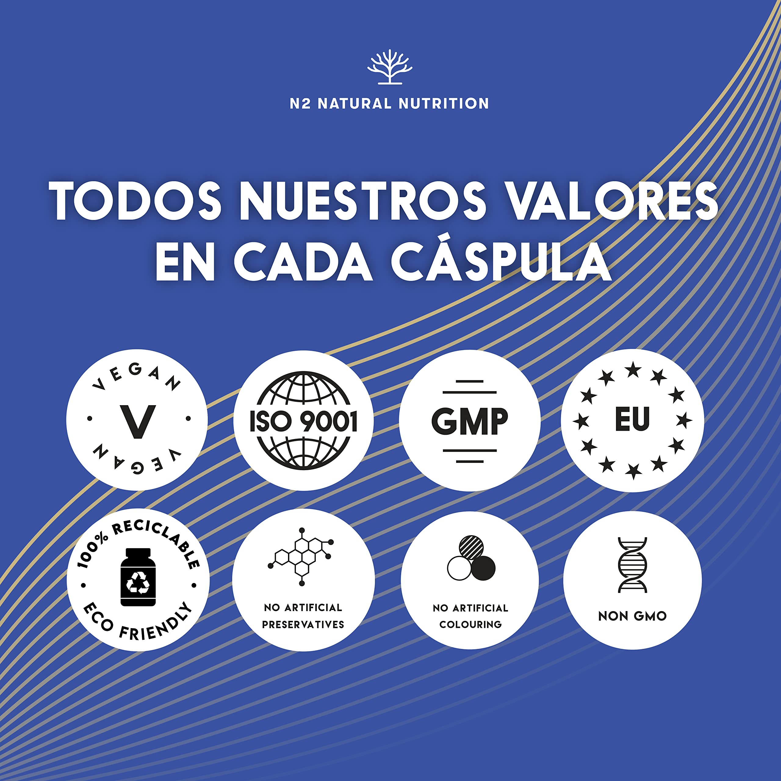 L-CARNITINA Natural 1500 mg, Quemagrasas Potente Para Adelgazar | L Carnitina Pre Workout Gym, Mejora Resistencia y Rendimiento. 120 Cpsulas Vegetales. CE, Vegano, N2 Natural Nutrition : Amazon.es: Salud y cuidado personal L-CARNITINA Natural 1500 mg, Quemagrasas Potente Para Adelgazar | L Carnitina Pre Workout Gym, Mejora Resistencia y Rendimiento. 120 Cpsulas Vegetales. CE, Vegano, N2 Natural Nutrition : Amazon.es: Salud y cuidado personal