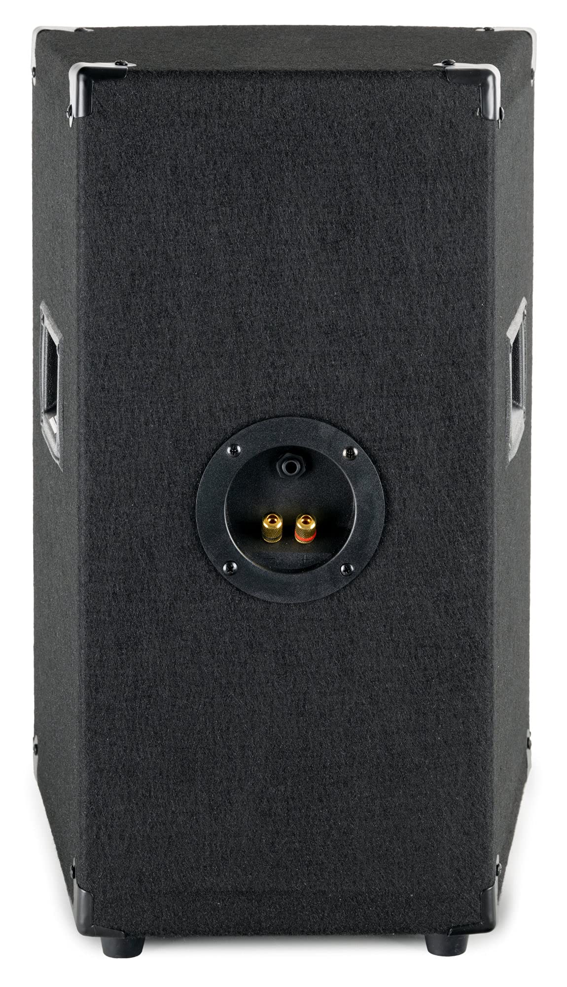McGrey TP-10 Enceinte de Party et DJ la Paire 2 x 400 W