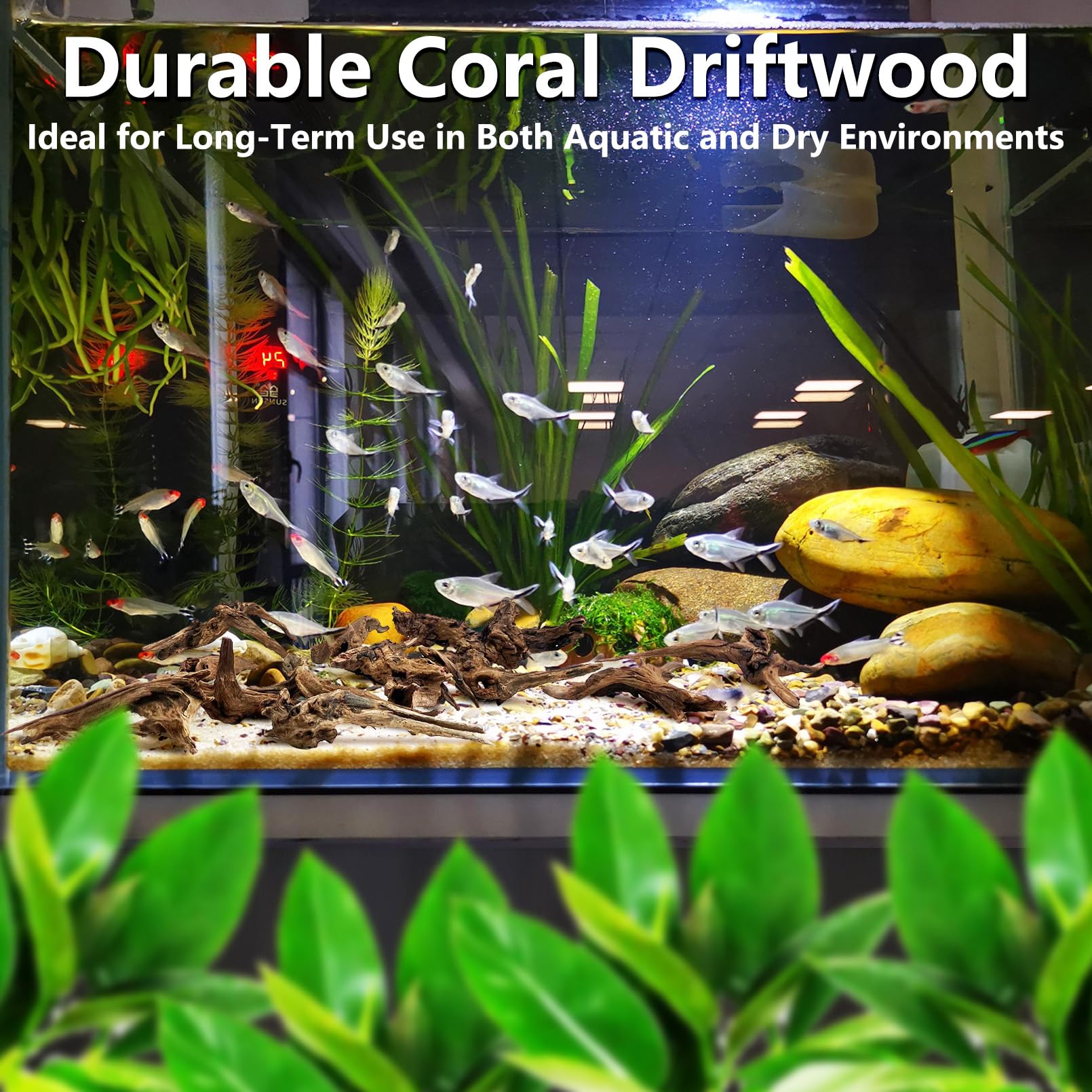 Tfwadmx Madera flotante de coral pequeño natural para decoración de acuario, 26 piezas de 4 a 5 pulgadas, decoración de peceras, decoración de reptiles, ramas de madera flotante, decoración de madera