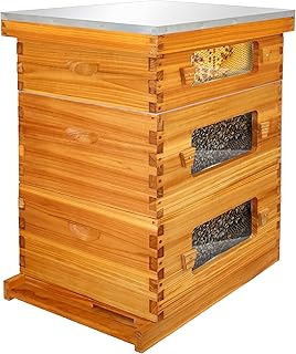 Honey Lake Bee Hive with Windows, 10 Frame Langstroth Complete Beehive Starter Kit Dipped in 100% Beeswax with Beehive Frames and waxed Foundations (2 Deep Brood Bee Hive Box & 1 Medium Super Bee Box)