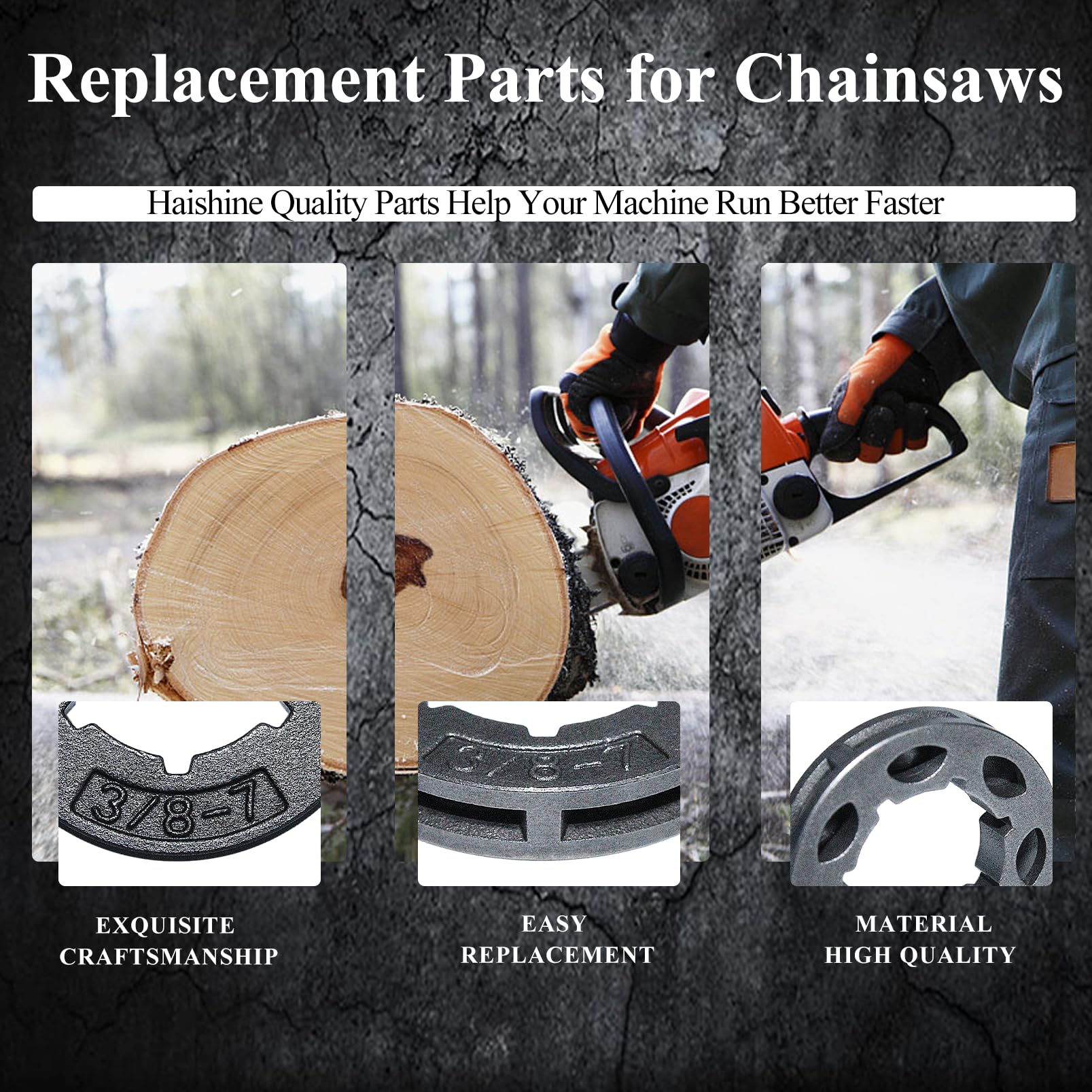 ゴードン　3点 Haishine 3/8