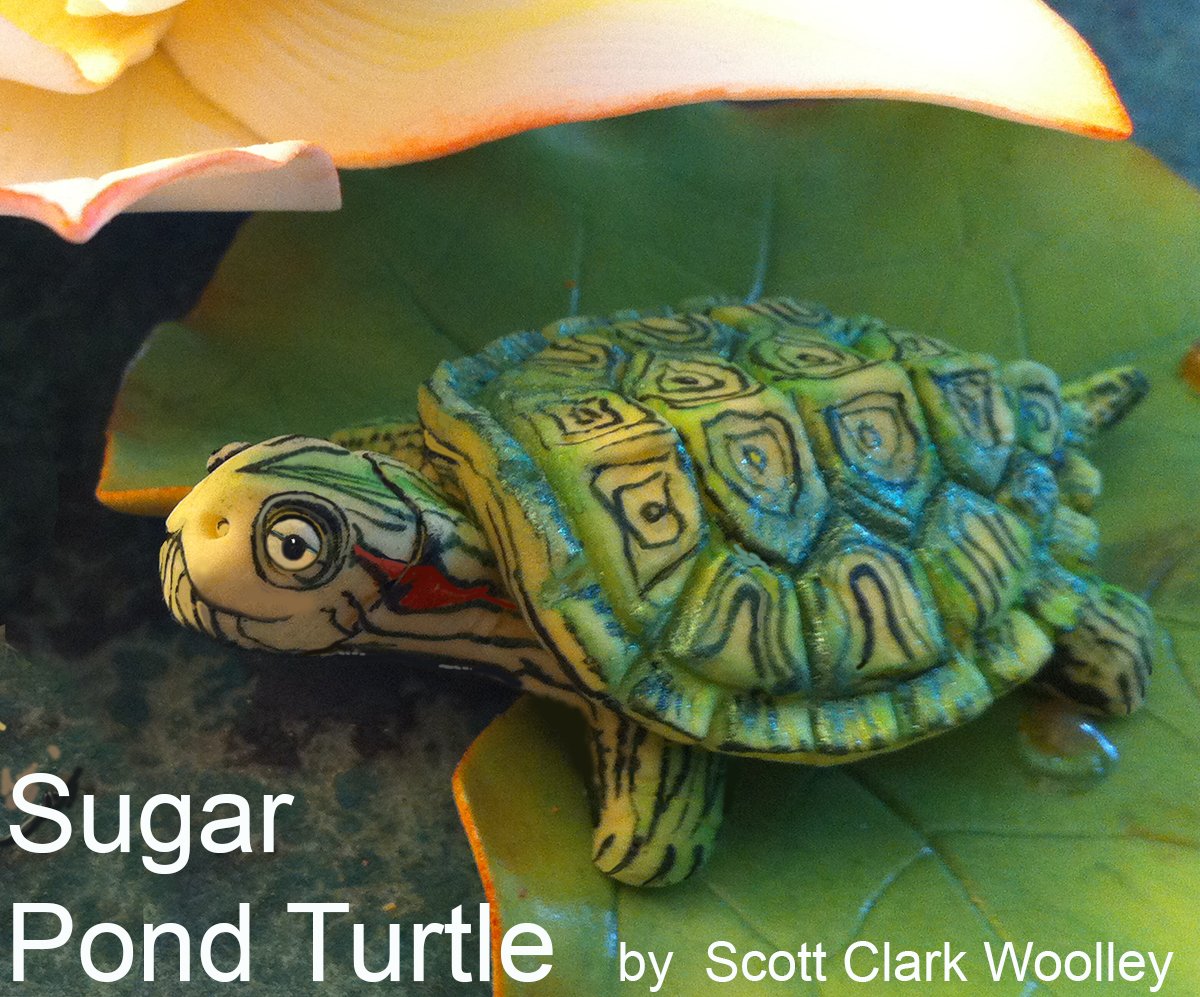 Scott Clark Woolley Pond Turtle - Molde de silicona