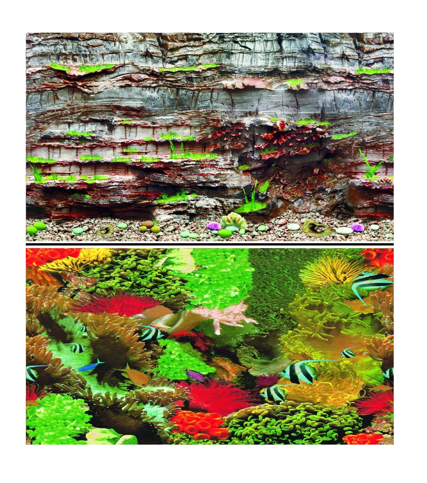 Aquarium Background Double Sided for Fish Tanks, 40cm (16") High