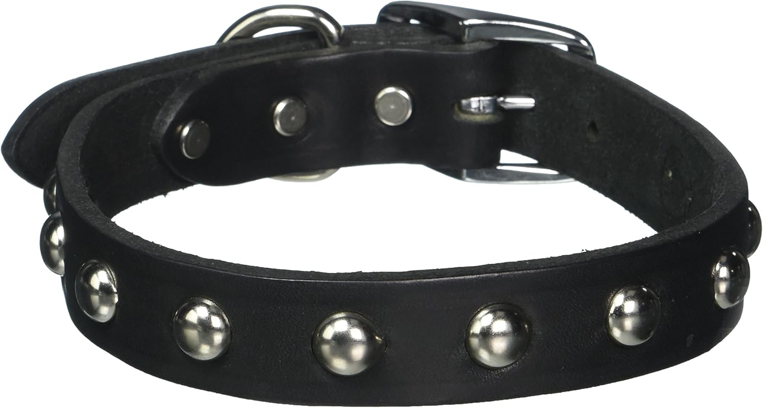 Leather Brothers 100LS-BK22 1 x 22-Inch Regular Studded Latigo Leather Dog Collar, X-Large, Black