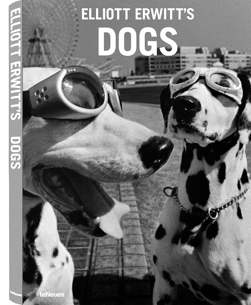 アート・デザイン・音楽 Elliott Erwitt To The Dogs Elliott Erwitt's Dogs (The Elliott Erwitt Series) : Erwitt