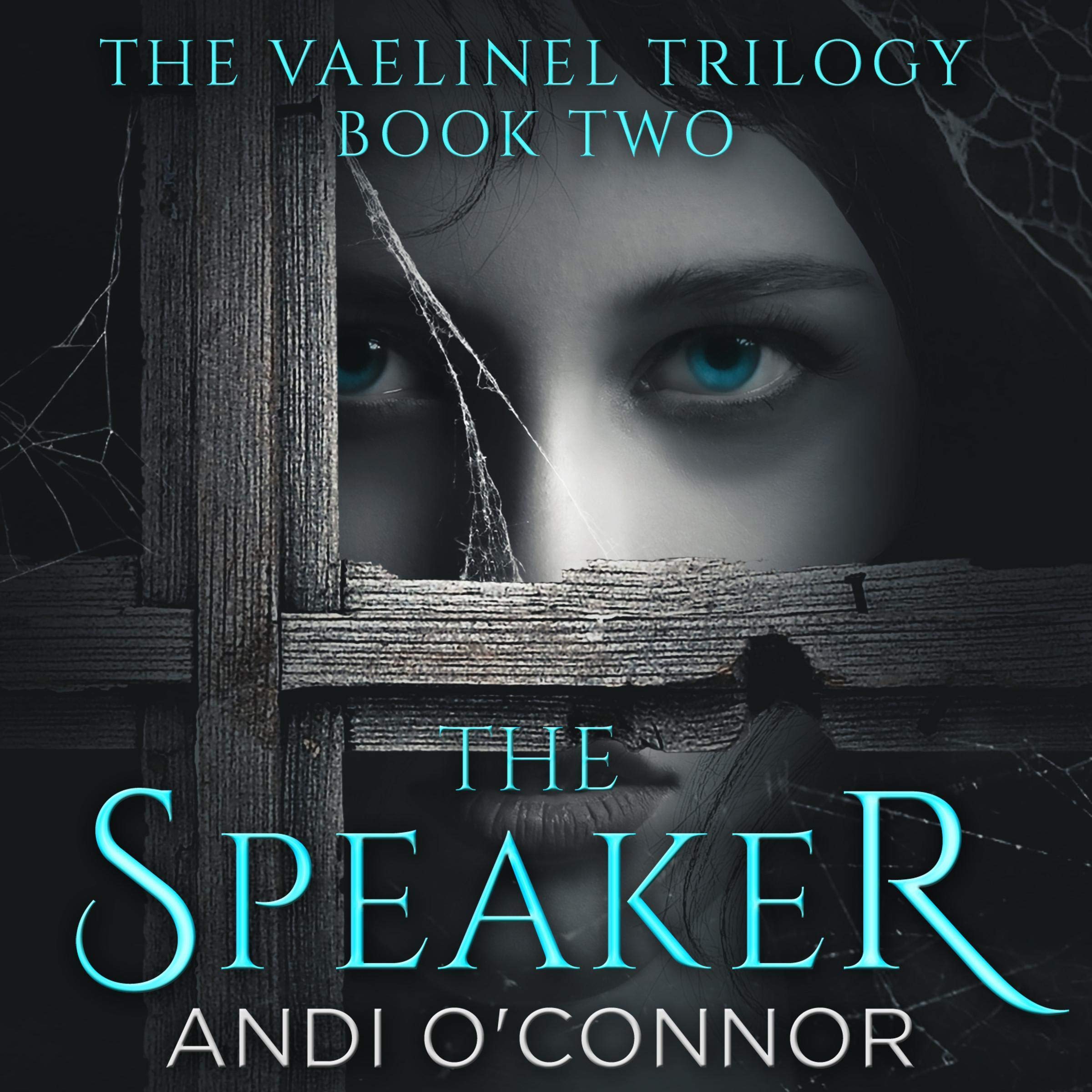 Cover art for The Speaker: The Vaelinel Trilogy, Book Two