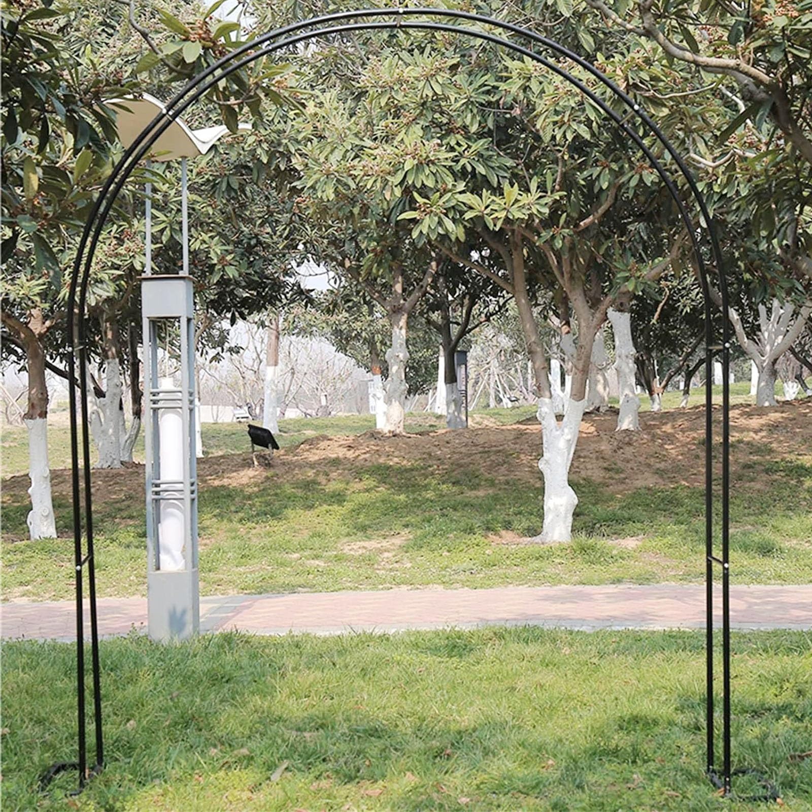 Structure de support robuste en métal pour rosiers grimpants et aménagement paysager